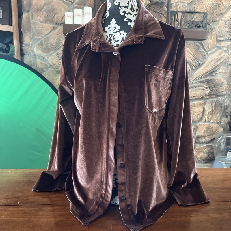 Women's Long Sleeve Velvet Blouse Large
