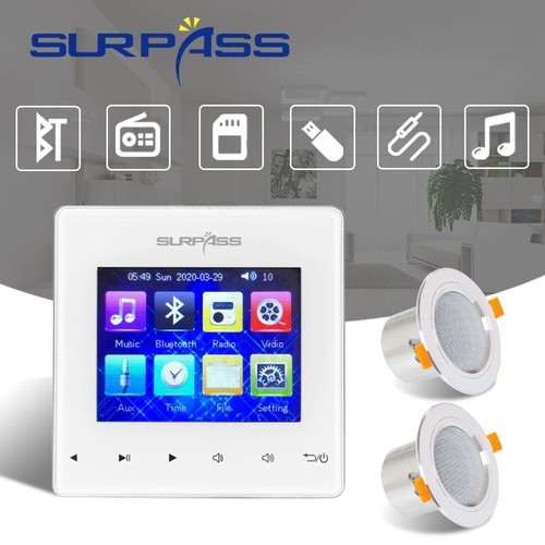 Mini Wall Amplifier Bluetooth FM Audio 