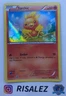 Torchic - 25/160 -Holo NM Pokemon Primal Clash