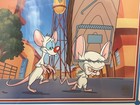 Pinky and The Brain Original Limited Ed Animation Cel Spielberg 1997 Warner Bros — photo 2