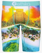 Ethika the Staple TULUM TEMPLE Palm Trees Bright Fire Sky Long Boxers Mn's NIP
