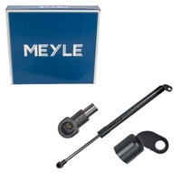 Meyle 3401600104 HeckklappendäMpfer DäMpfer Heck FüR Bmw 5Er E39 51248222913