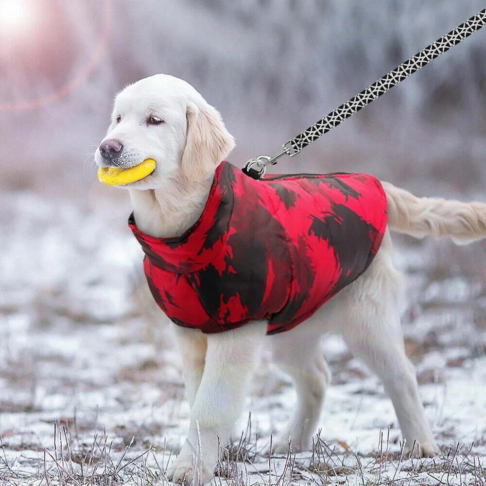 Padded dog vest sales