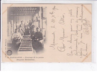 MARMANDE: plum flowering (berbineau store) - condition