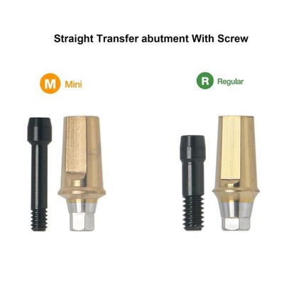 Titanium Hex Ti Straight Transfer Abutment Mini Regular Fit to Osstem Hiossen TS