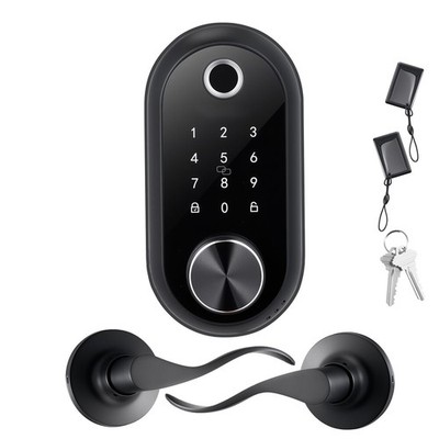 Matte Black Fingerprint Electronic Deadbolt Keyless Entry Door Lock