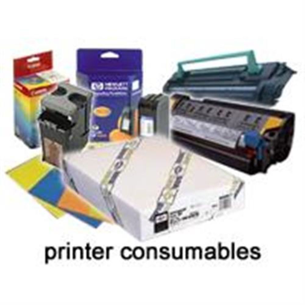 Струйная фотобумага EPSON quality A2 30 блатт 100 гм C13S041079 7290₽