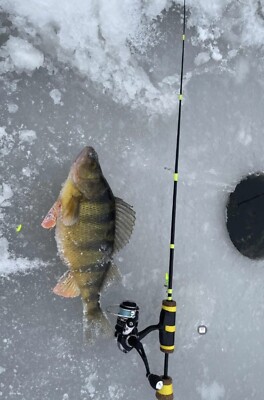 Walleye Rods Custom Ice Fishing Poles Custom Graphite Ice Fishing