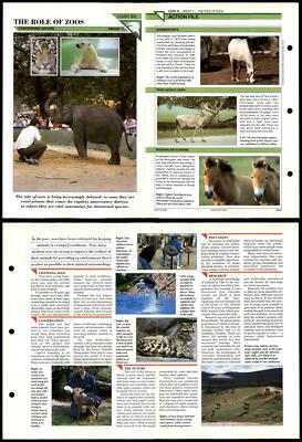 The Role Of Zoos #24 Conservation Wildlife Fact File Fold-Out Card