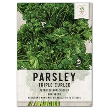Triple Curled Parsley Seeds For Planting (Petroselinum crispum)