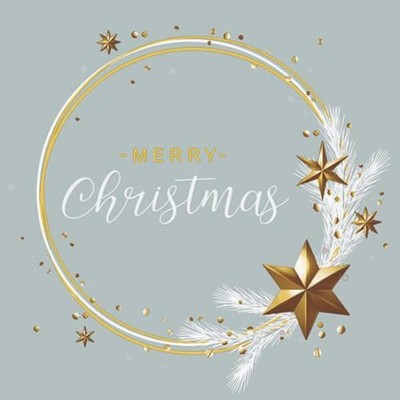 Napkin 25 Wishing Ring Mint FSC Mix - Frohe Weihnachten minzfarbe