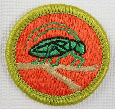 Insect Life/Insect Study Current Plastic Back Merit Badge [MB-134]