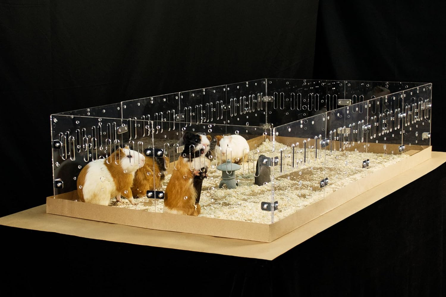 ™ Acrylic Cage (Model-A) - Large 4x2ft Habitat for Guinea Pigs, Rabbits, Small A