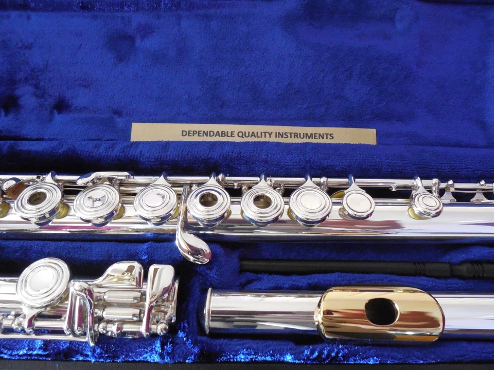 Muelles labiales Kommunhardt KG Special plata maciza agujero abierto pies B 14K revisados Foto 2 de 4