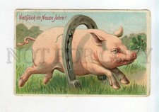 528151 NEW YEAR Greeting Pink PIG Dance Horseshoe Vintage postcard