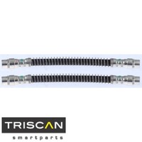 2X Bremsschlauch Triscan 815028205 2 BremsschläUche Rechts Links Hinten