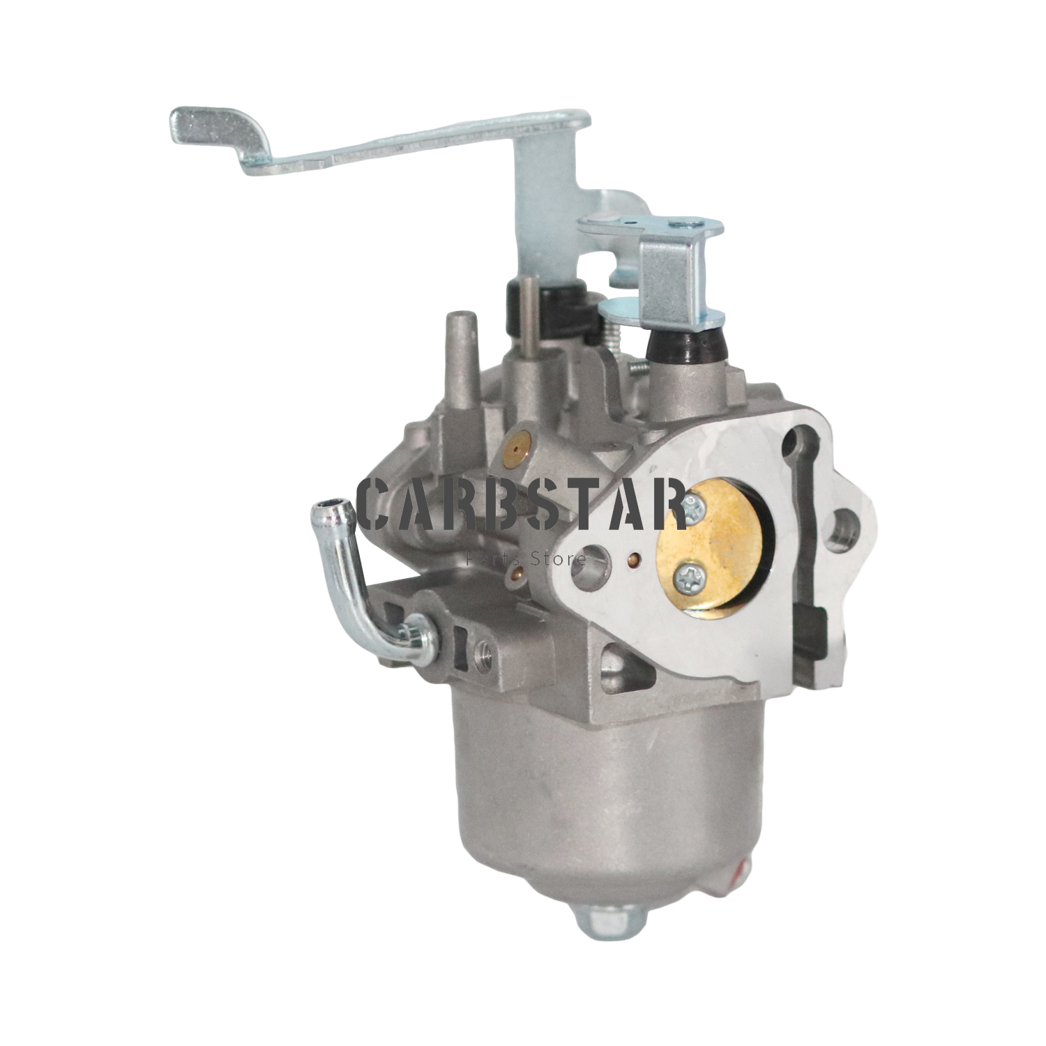 Set Carburatore per Generatore Husky 5000 Watt HU5000 BP Homelite