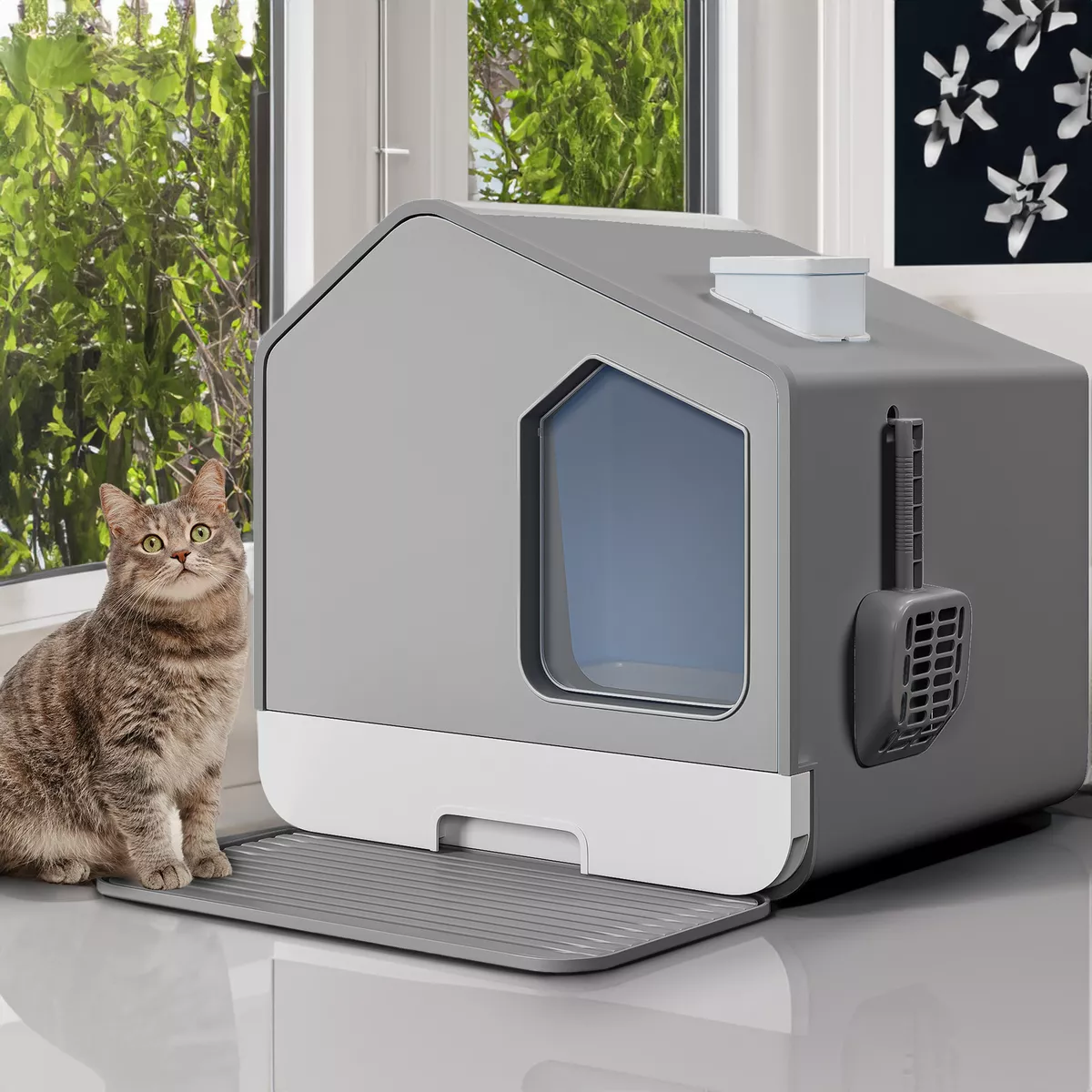No litter cat shop box