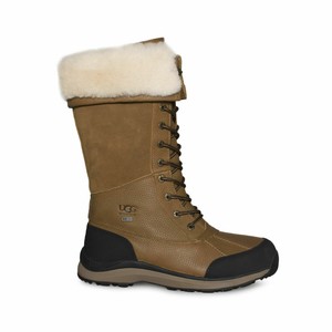 ugg adirondack tall otter