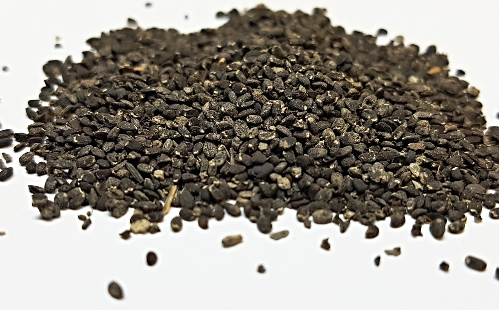 Samen mentha spicata, Spearmint, Krause Minze, marokkanische Minze eBay