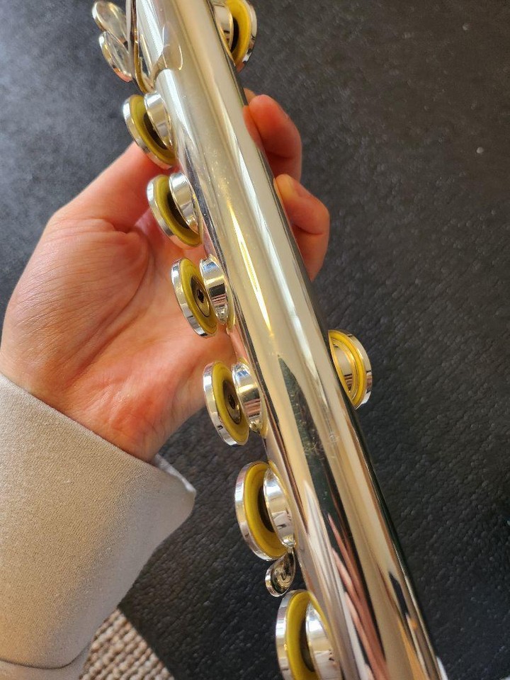 Alto Flute eBay