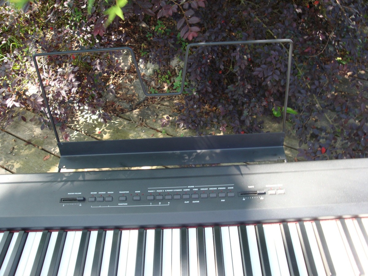 KORG コルグ SP-200 88鍵ピアノ Korg SP-200 Digital Piano - 88 Weighted Keys w/pedel, and