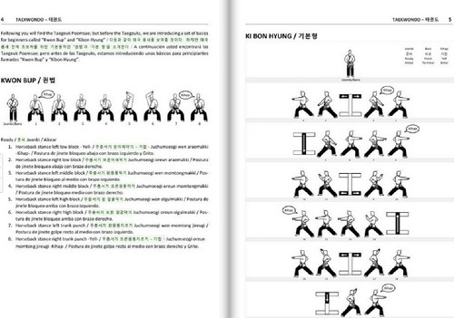 TAEKWONDO HAPKIDO JOONGDORYU Young Seok Kim Guide Book English+Korean+Spanish - Picture 4 of 12