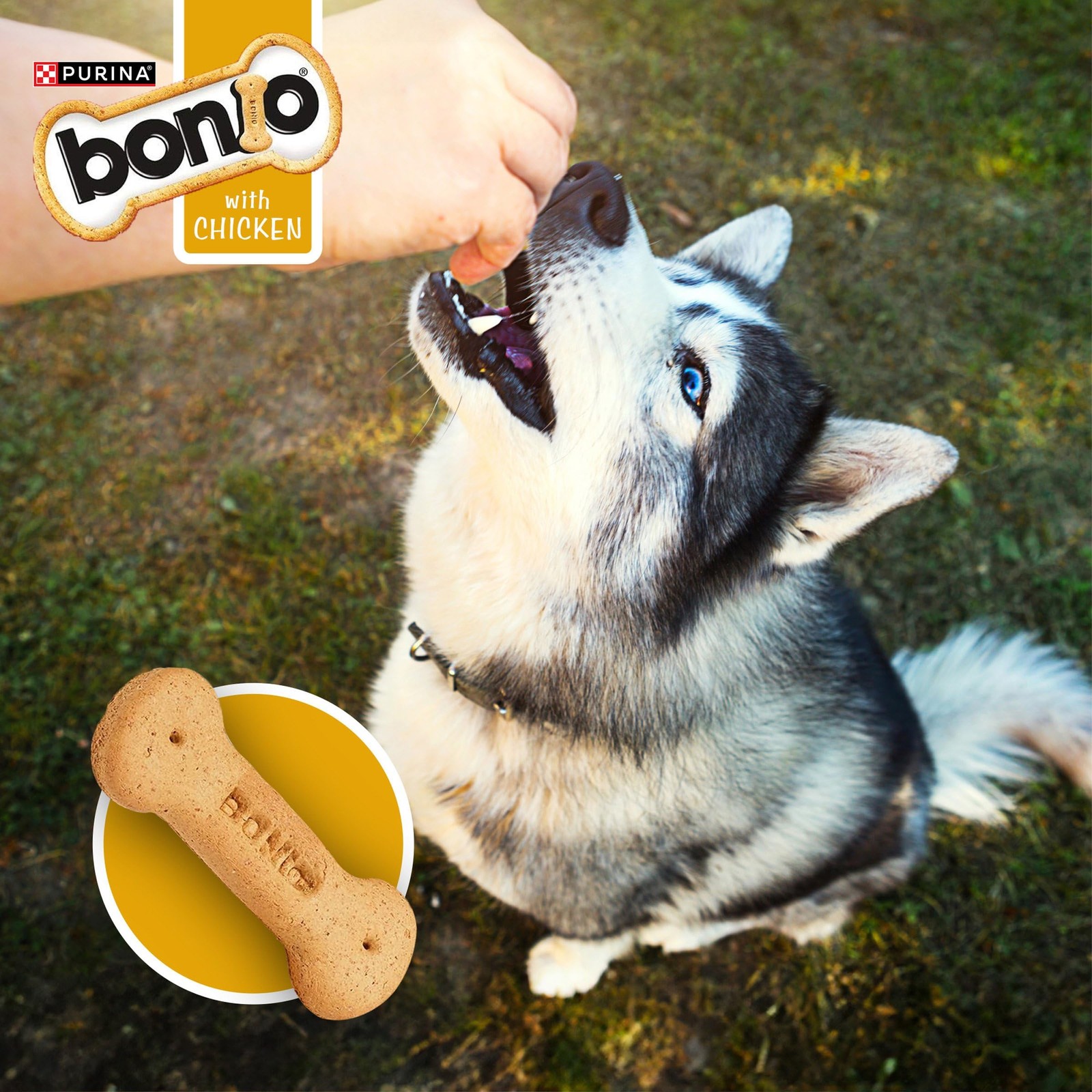 Bonio Tasty Chicken Dog Biscuits 650g Multipack, 5 x Nutritious Treat Bags - Image 2
