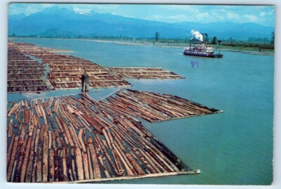 Paddle Steamer & Log Booms near PITT MEADOWS B.C. Canada 4x6 Postcard