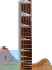Rickenbacker 360