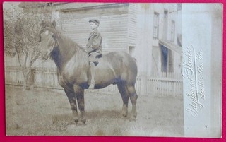 W. E. Burgess postcard. Real photo boy on horse