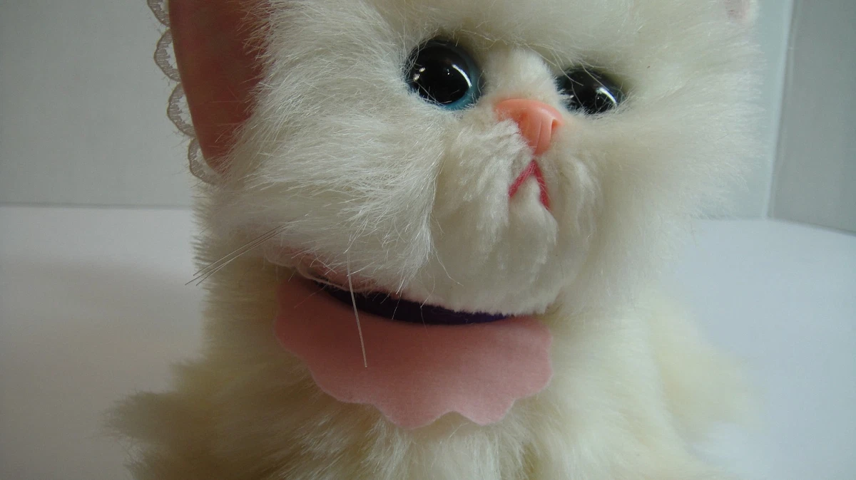 25+ Tyco Kitty Kittens for sale | Updated Oct 2026