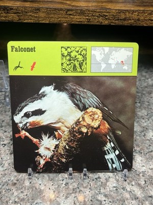 Falconet, 1976 Editions Recontre 4 3/4'' x 4 3/4'' Card