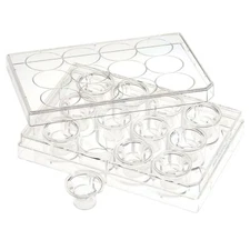 CELLTREAT Permeable Cell Cult. Insert, 12 Well, PET, 0.4um, 24/Cs, S, #230621