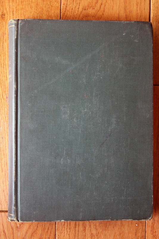 Portraits of Illustrious Personages of Great Britain by Edmund Lodge 1840 Vol. I
