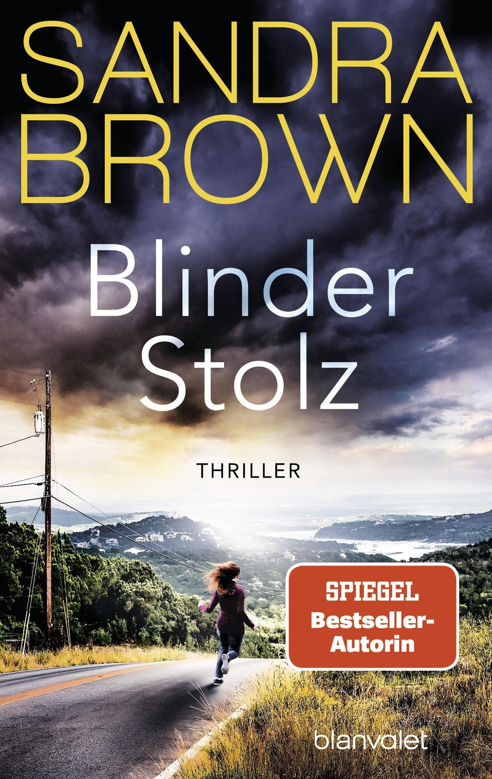 Thumbnail - Blinder Stolz Sandra Brown