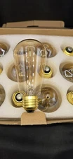 Edison Bulb Model ST58 12 Pack Not LED T-1