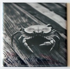 Crab on a Dock FRIDGE MAGNET