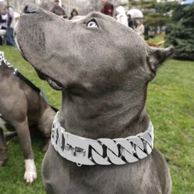 SPRING PARK Dog Chain Collar Choke Collar Non-scalable Anti-Chew Stainless Steel Metal Collars Choker Chain For Small Medium Large Dogs - Foto 10