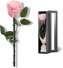 Pink Flowers for Delivery Prime, Preserved Pink Roses Flower Gifts for Women, Re