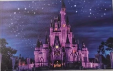 DISNEYLAND - Disney Castle Credit Card Skin Cover - Wrap Decal Pre-Cut Sticker 