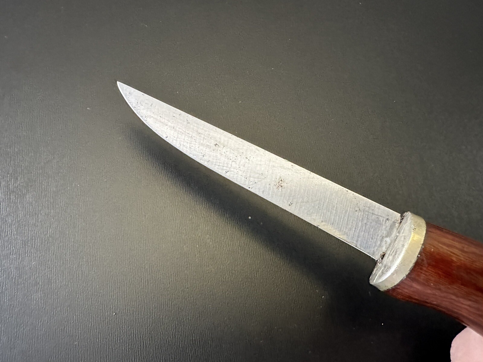 Sharp Hunting Fish Fillet Knife eBay