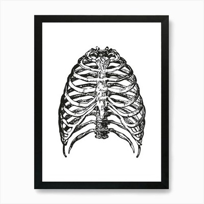 Menschliche Rippen Kunstdruck Gerahmtes Wandbild Poster Leinwanddruck Bild