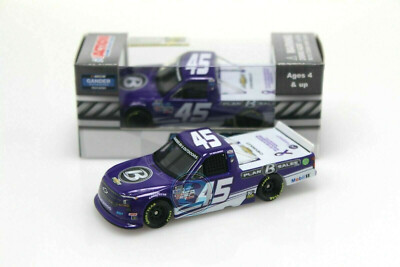 2020 LIOENL TY MAJESKI PLAN B SALES ALZHEIMER'S AWARENESS CHEVY TRUCK 1/64