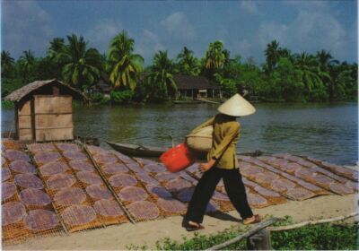 CPM AK VIETNAM Western Region - Que Huong - Flat Cake Profession (1068948)