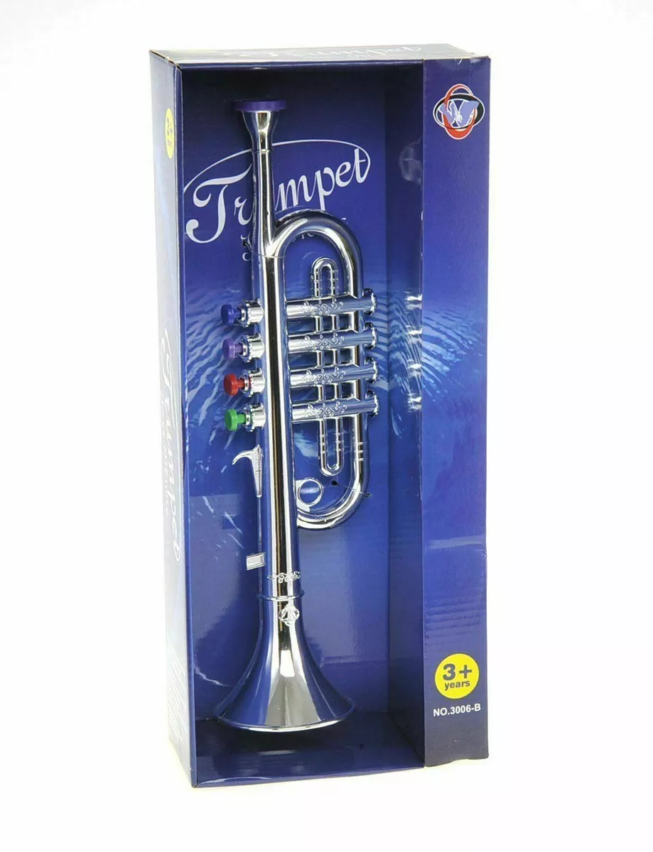 Which of the following is not a wind instrument deals