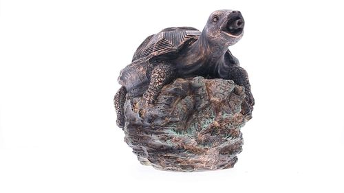 Bermuda Pond Spitter Pondside Garden Feature Ornament Turtle - Video 1 of 1