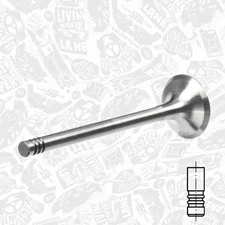 Exhaust Valve AUDI VW SEAT 2,0 03G109611D AZV BKD BLB BMN BNA BRD BRE BRF BUY