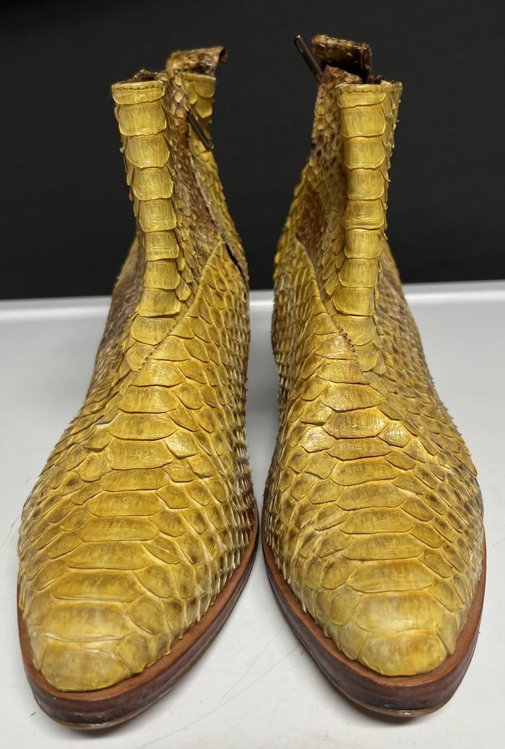 $220 Wandering Coyote Real Snake Python Bright Ye… - image 9