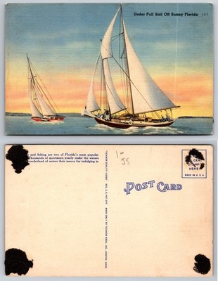 Under Full Sail Off Sunny Florida Postcard